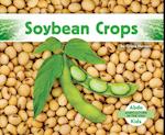 Soybean Crops