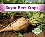 Sugar Beet Crops