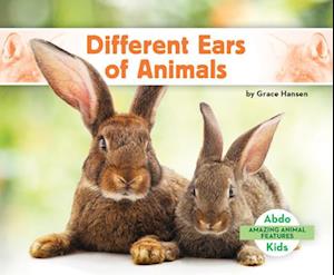 Different Ears of Animals