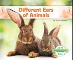 Different Ears of Animals