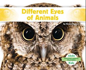 Different Eyes of Animals