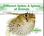 Different Spikes & Spines of Animals