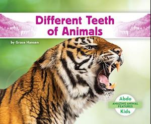 Different Teeth of Animals