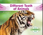 Different Teeth of Animals