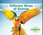 Different Wings of Animals