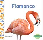 Flamenco (Flamingos)