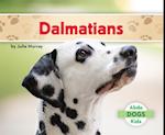 Dalmatians