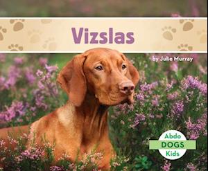 Vizslas