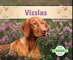 Vizslas