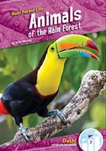 Animals of the Rain Forest