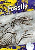 Fossils