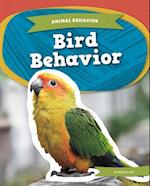 Bird Behavior