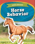 Horse Behavior