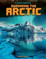 Surviving the Arctic