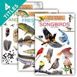 North American Field Guides (Set)