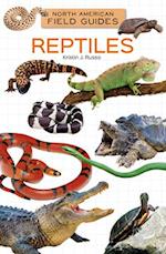 Reptiles