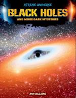 Black Holes and More Dark Mysteries