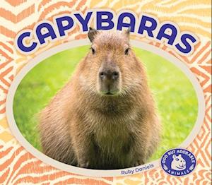 Capybaras