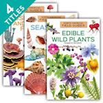 North American Field Guides Set 2 (Set)