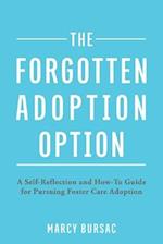 The Forgotten Adoption Option