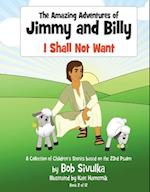 The Amazing Adventures of Jimmy and Billy, 2