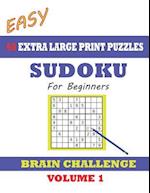 Sudoku for Beginners 60 Easy Extra Large Print Puzzles