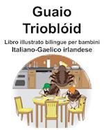 Italiano-Gaelico irlandese Guaio/Trioblóid Libro illustrato bilingue per bambini