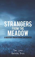 Strangers from the Meadow: A Bigfoot Frightening Encounter 