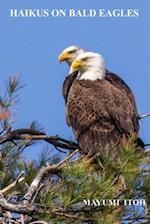 Haikus on Bald Eagles