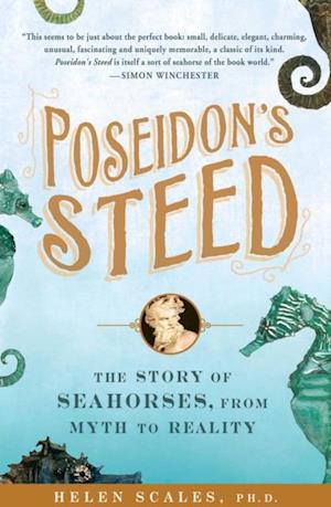 Poseidon's Steed