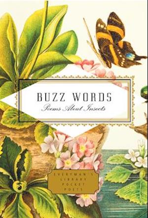 Buzz Words