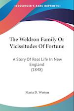The Weldron Family Or Vicissitudes Of Fortune