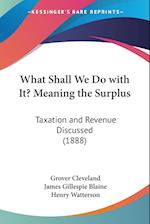 What Shall We Do with It? Meaning the Surplus