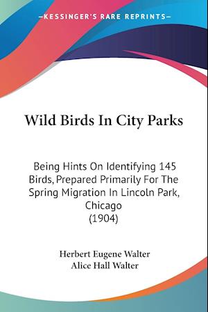 Wild Birds In City Parks