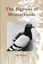 The Pigeons of Monte Verde 