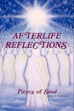 Afterlife Reflections