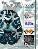 Basic Human Neuroanatomy