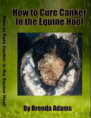 How to Cure Canker in the Equine Hoof