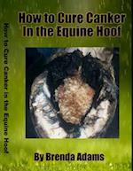 How to Cure Canker in the Equine Hoof