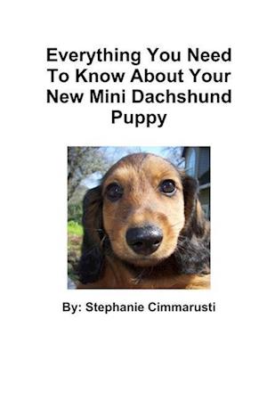 Everything You Need To Know About Your New Mini Dachshund Puppy