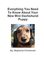 Everything You Need To Know About Your New Mini Dachshund Puppy 