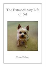 The Extraordinary Life of Sal 