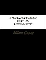 Polaroid of a Heart 