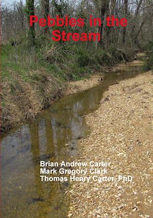 Pebbles in the Stream