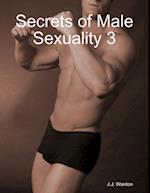 Secrets of Male Sexuality 3