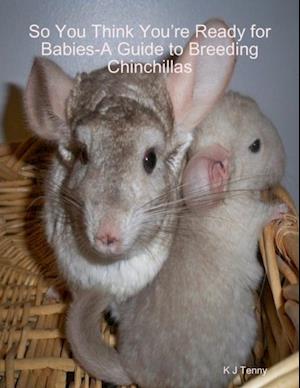 So You Think You're Ready for Babies - A Guide to Breeding Chinchillas