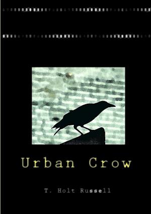 Urban Crow