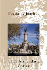 Poesía de la frontera