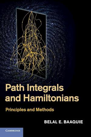 Path Integrals and Hamiltonians