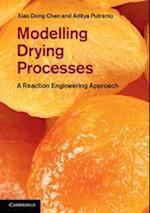 Modelling Drying Processes